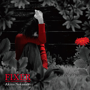 FIXER -WHILE THE WOMEN ARE SLEEPING-